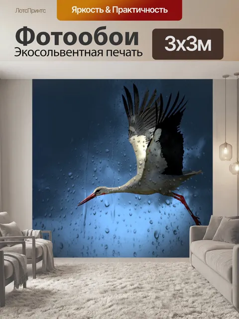 Фотообои Аист, птица, белый