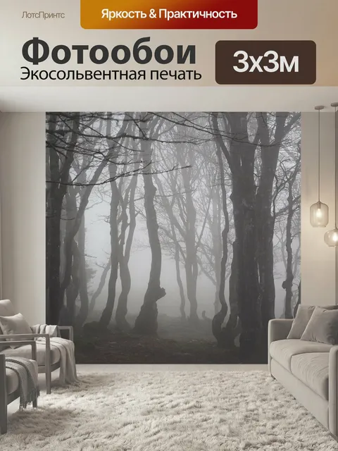 Фотообои Буковый лес, туман, лес