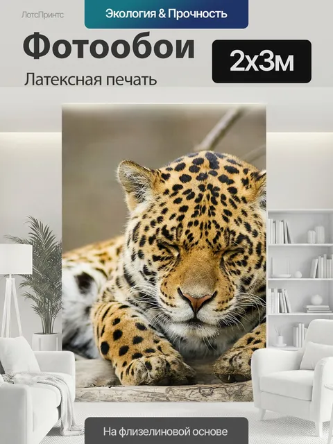 200 × 300 см · Латексная печать