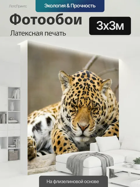 300 × 300 см · Латексная печать