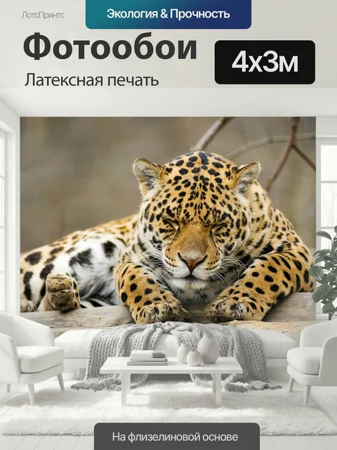 400 × 300 см · Латексная печать