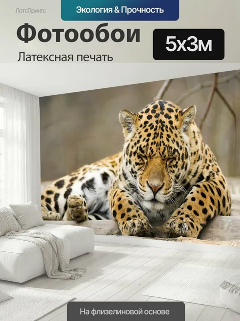 500 × 300 см · Латексная печать