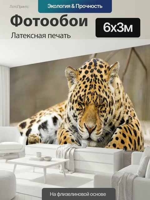 600 × 300 см · Латексная печать