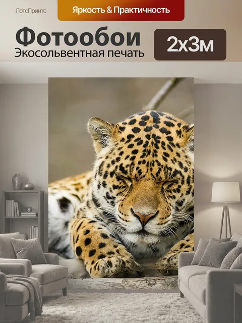 200 × 300 см · Экосольвентная печать