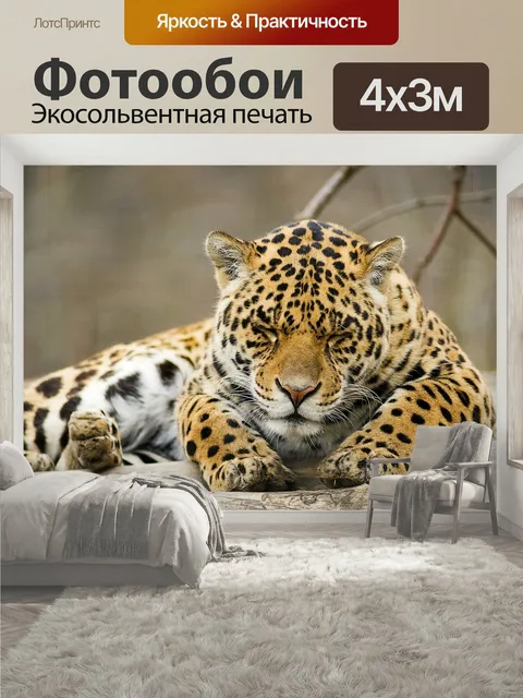 400 × 300 см · Экосольвентная печать