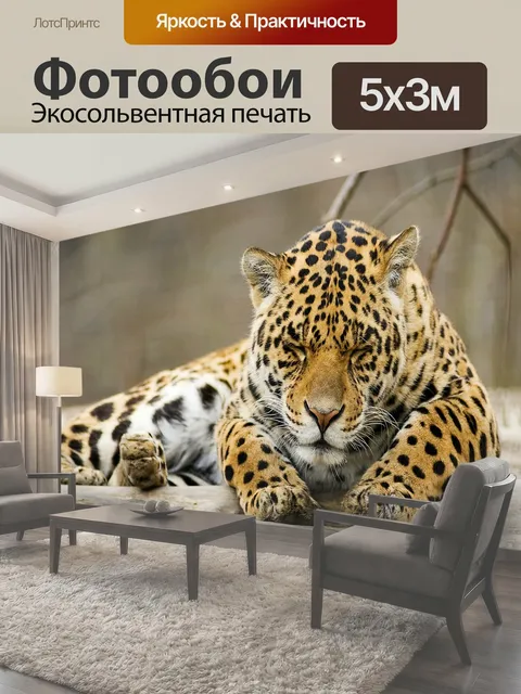 500 × 300 см · Экосольвентная печать
