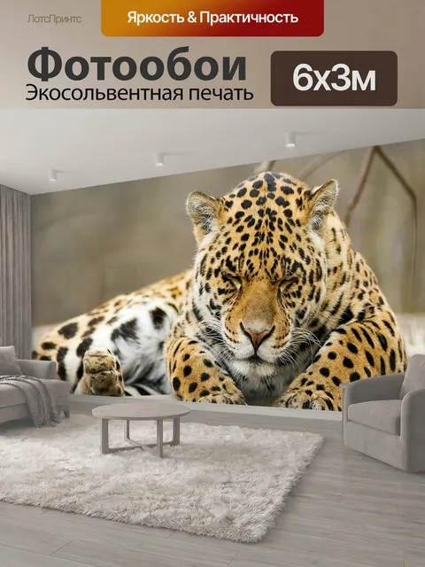 600 × 300 см · Экосольвентная печать