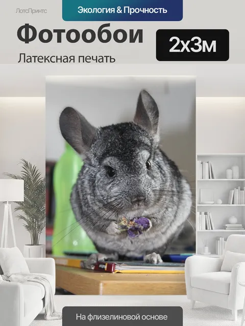 200 × 300 см · Латексная печать