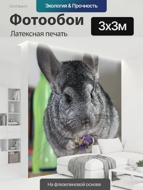 300 × 300 см · Латексная печать