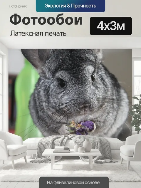 400 × 300 см · Латексная печать