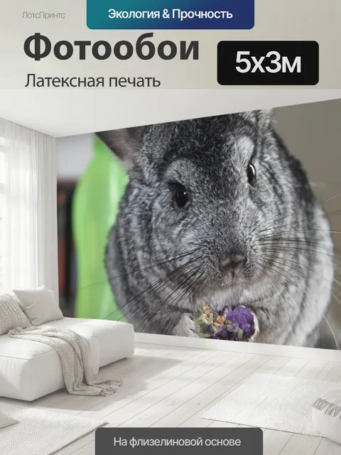 500 × 300 см · Латексная печать