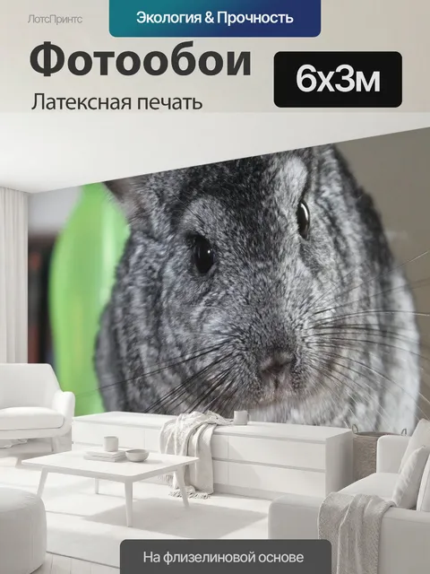 600 × 300 см · Латексная печать