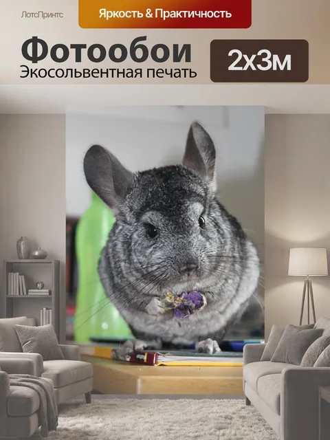 200 × 300 см · Экосольвентная печать