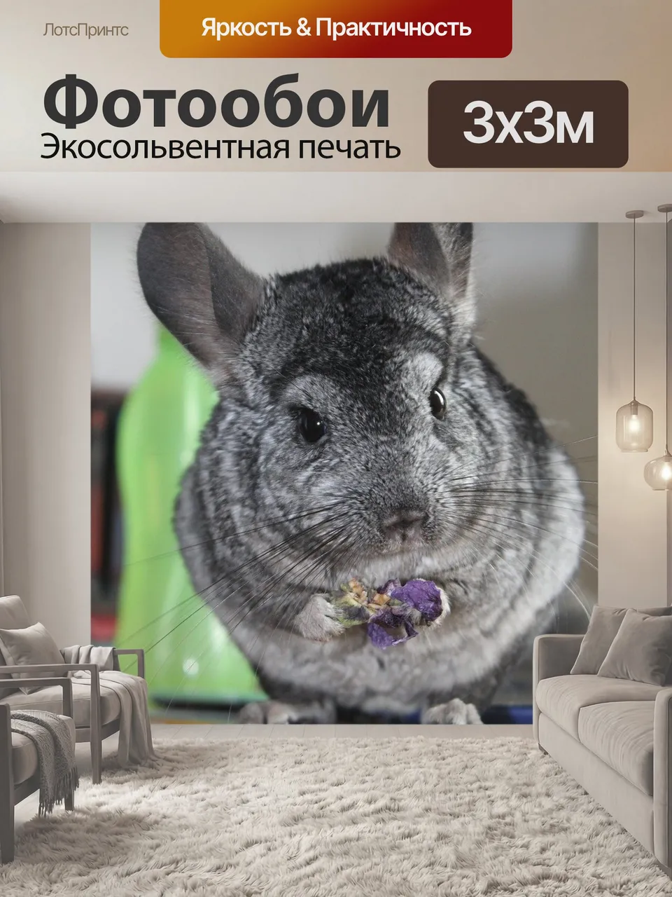 Фотообои Шиншилла, серый, стоя