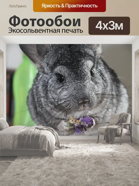 400 × 300 см · Экосольвентная печать