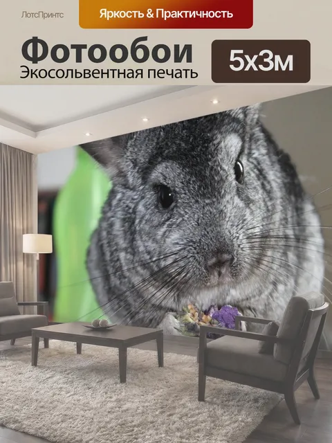 500 × 300 см · Экосольвентная печать