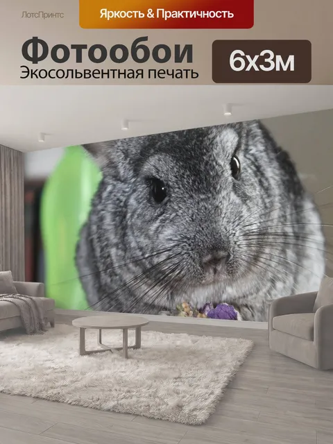 600 × 300 см · Экосольвентная печать