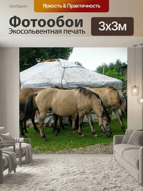 Фотообои Юрта, лошади, татары