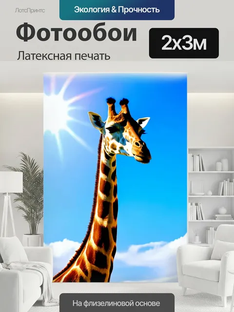 200 × 300 см · Латексная печать