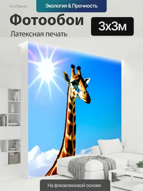 300 × 300 см · Латексная печать