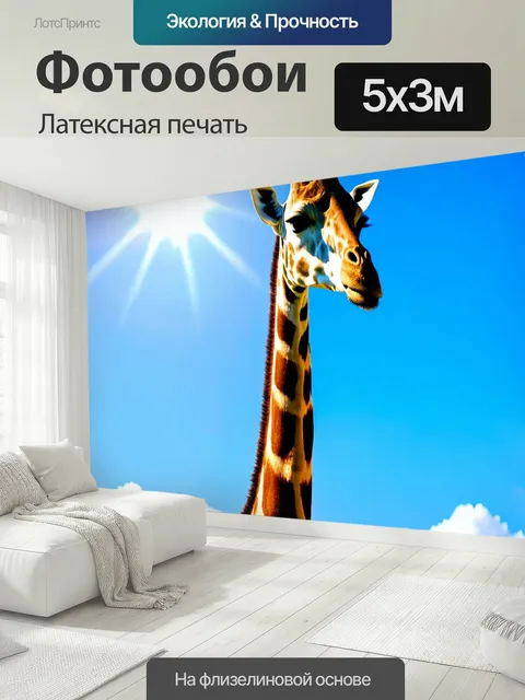 500 × 300 см · Латексная печать