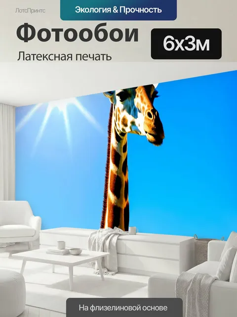 600 × 300 см · Латексная печать