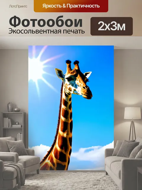 200 × 300 см · Экосольвентная печать