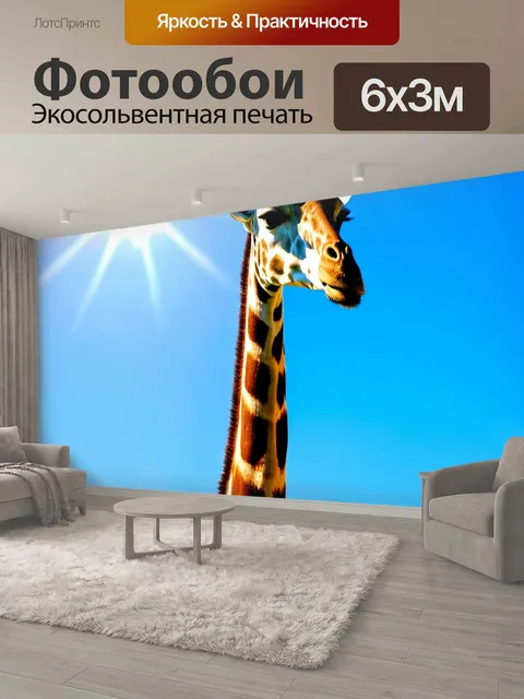 600 × 300 см · Экосольвентная печать