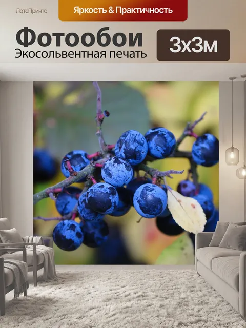 Фотообои Ягоды, терн, prunus spinosa