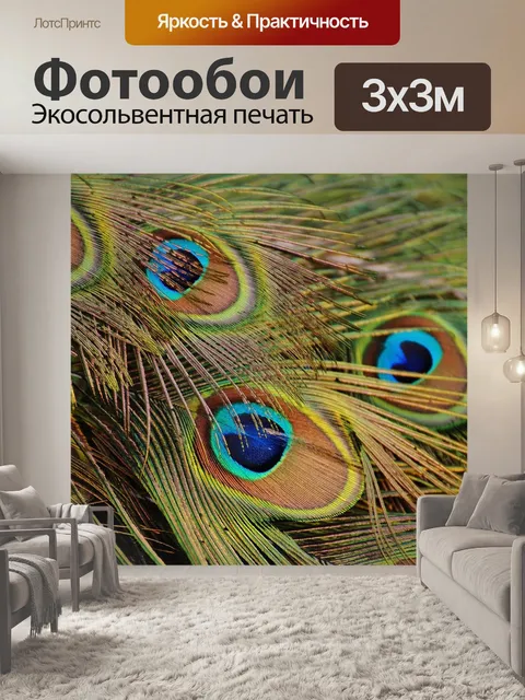Фотообои Павлиньи перья, павлин, птица