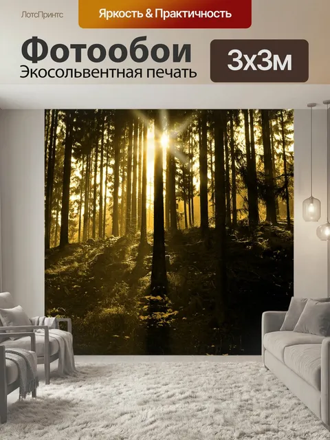 Фотообои Дерево, лес, ель