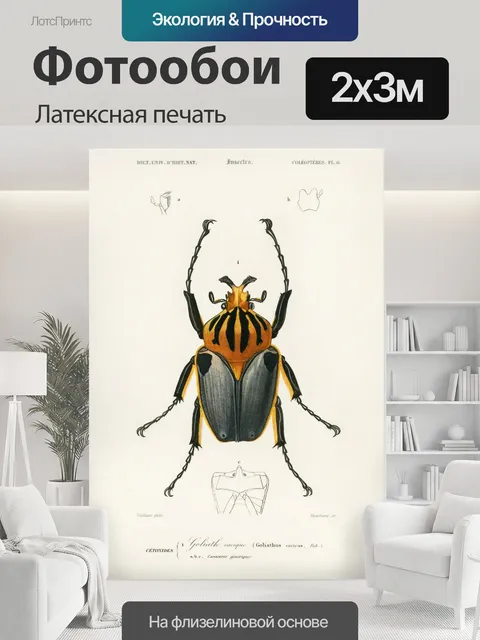 200 × 300 см · Латексная печать