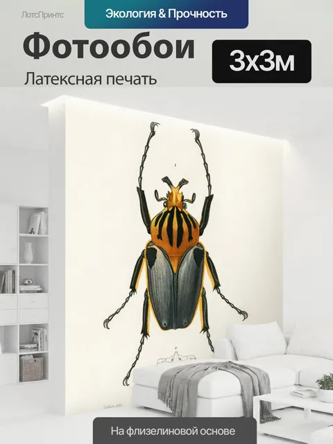 300 × 300 см · Латексная печать