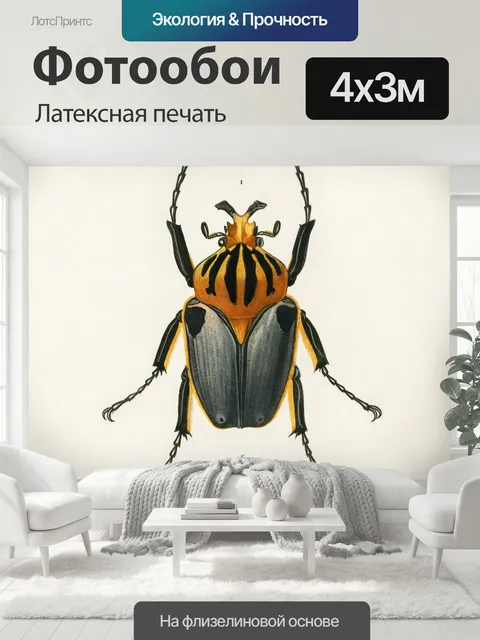 400 × 300 см · Латексная печать