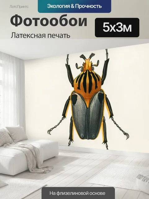 500 × 300 см · Латексная печать