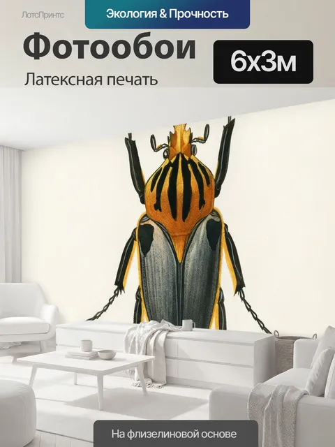 600 × 300 см · Латексная печать
