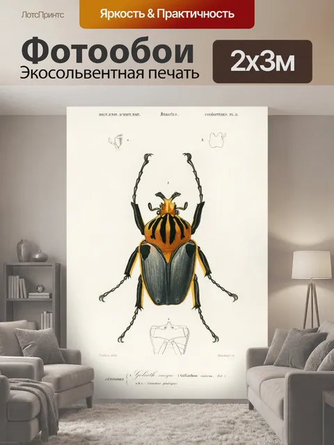 200 × 300 см · Экосольвентная печать
