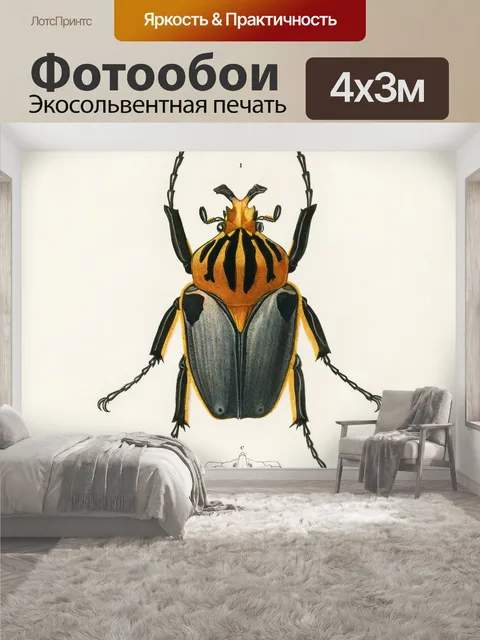 400 × 300 см · Экосольвентная печать