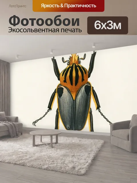 600 × 300 см · Экосольвентная печать