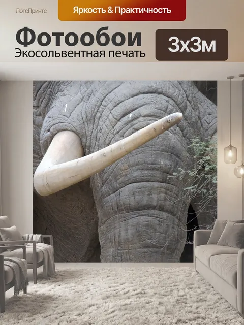 Фотообои Слоновая кость, бивень, животные