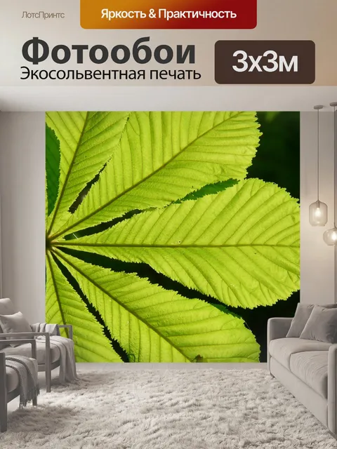 Фотообои Конский каштан обыкновенный, листья, каштан