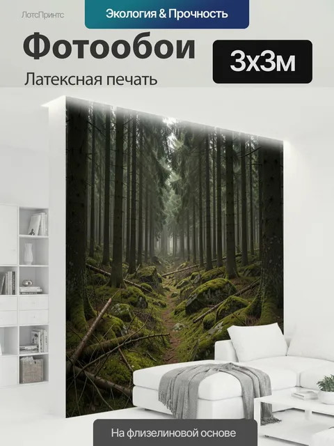 300 × 300 см · Латексная печать