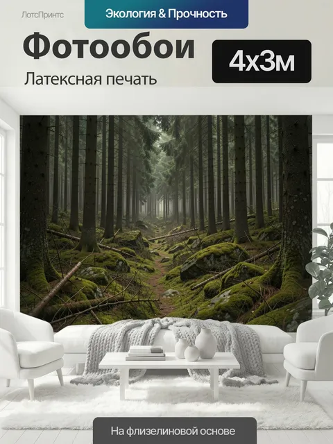 400 × 300 см · Латексная печать