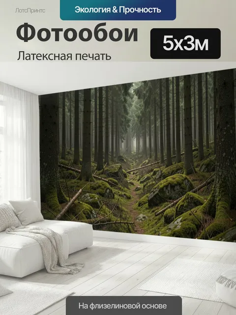 500 × 300 см · Латексная печать