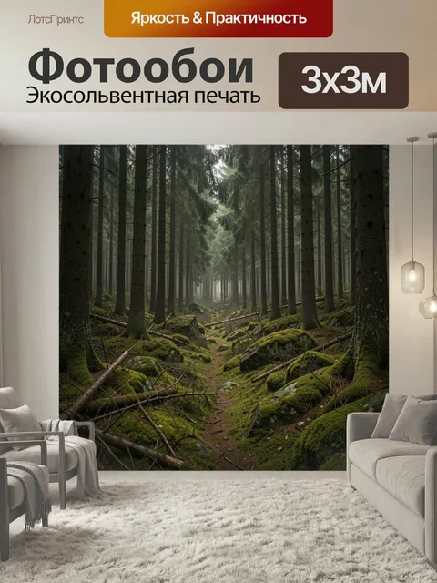 Фотообои Таинственный хвойный лес. Мрачная еловая чаща с высоким стройным стволами, покрытыми мхом камнями и узкой тро…