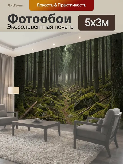 500 × 300 см · Экосольвентная печать