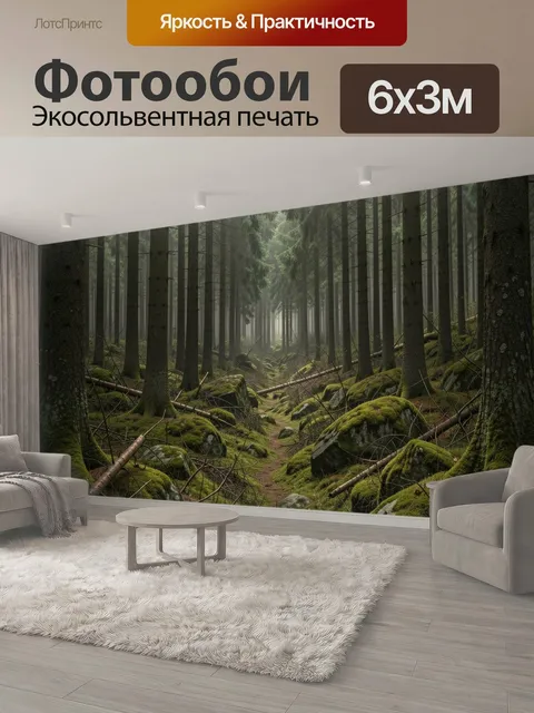 600 × 300 см · Экосольвентная печать