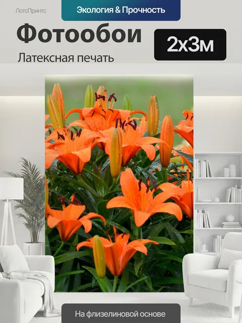200 × 300 см · Латексная печать