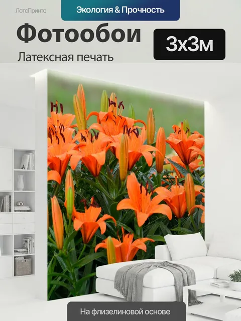 300 × 300 см · Латексная печать
