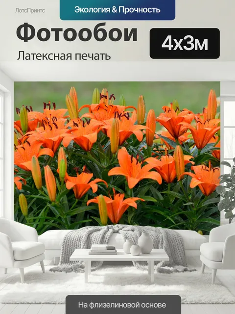 400 × 300 см · Латексная печать